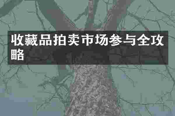 收藏品拍卖市场参与全攻略