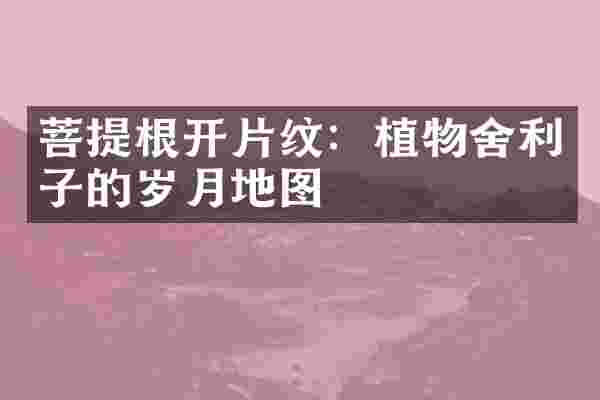 菩提根开片纹：植物舍利子的岁月地图