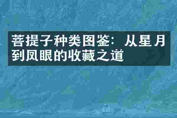菩提子种类图鉴：从星月到凤眼的收藏之道